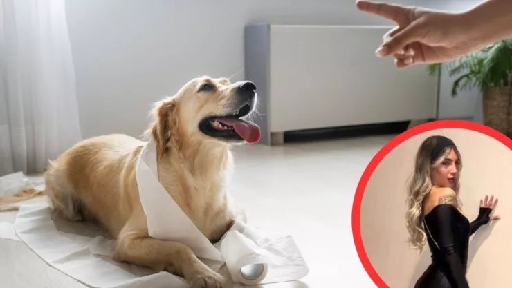 Discusión familiar por un perro termina en muerte; hermano se entrega tras apuñalar a su hermana