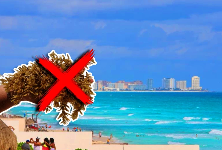 Estas son las playas sin sargazo en Quintana Roo HOY 15 de noviembre de 2025_ Cancún, Playa del Carmen, Tulum y más.webp