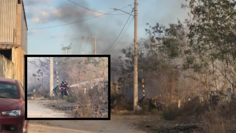 Terreno baldío en Plan de Ayala Sur ARDE EN LLAMAS y moviliza a los bomberos: VIDEO