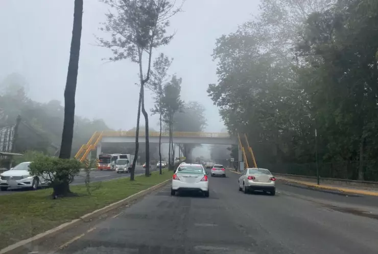 Niebla Xalapa
