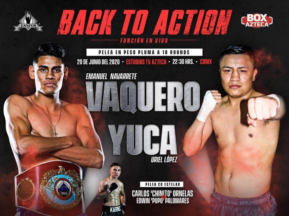 Vuelve el boxeo EN VIVO