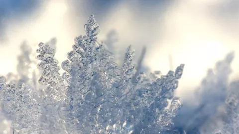 Qué día de la semana del 20 al 24 de enero 2025 hará más frío en Torreón