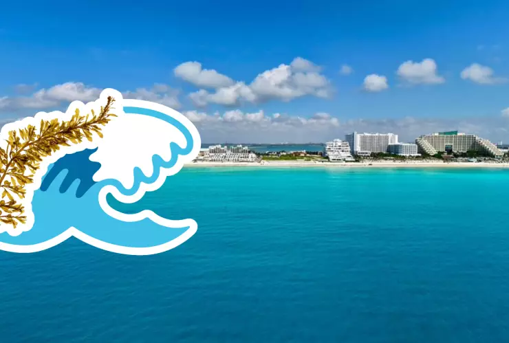 Playas libres de sargazo en Quintana Roo HOY 1 de agosto de 2025_ Lista desde Holbox, Cancún y hasta Tulum.jpg