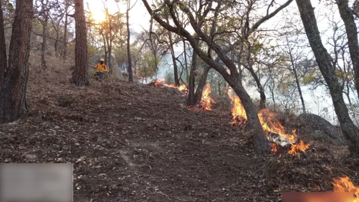 Voluntario de 70 años muere durante incendio en Guanajuato