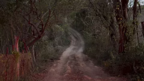 Hallan fosa clandestina durante búsqueda de mineros en Concordia