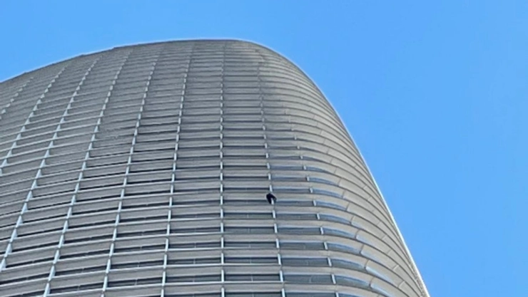 pro life spiderman torre san francisco