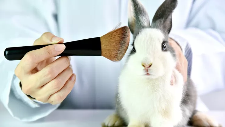 Marcas de cosméticos libres de crueldad animal