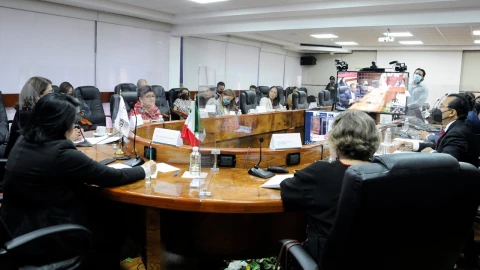 B01EEO PROTOCOLO ORFANDAD POR FEMINICIDIO6.jpeg