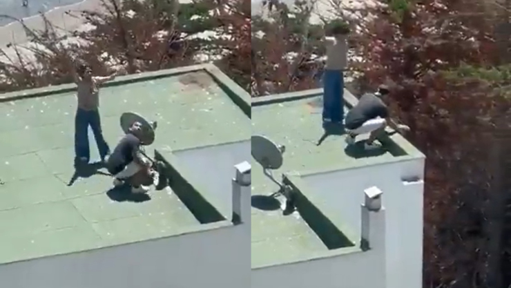 captan a sujeto lanzando crías de gaviota desde una azotea.png