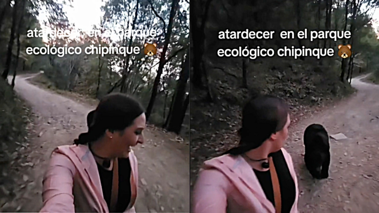 Una mujer hacía ejercicio en Nuevo León y logró escapar de un oso
