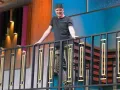 Gavito en el balcon.jpg