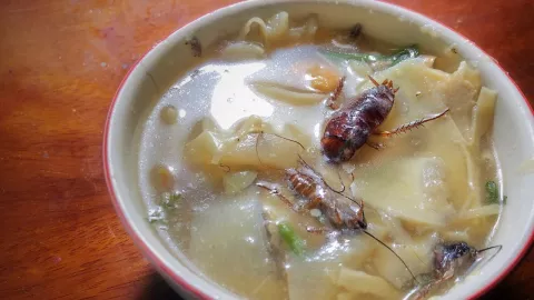 Lady cucaracha: Mujer pone insecto en su comida y la exhiben en redes