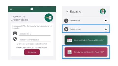 Constancia de Situación Fiscal SAT