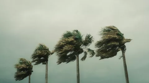 Vigilan posibles formación de huracanes