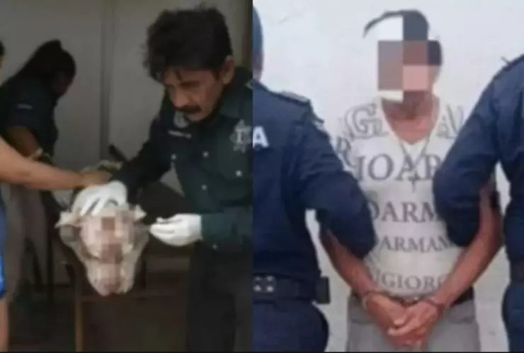 Detienen al hombre que macheteó a perro Pitbull en Progreso, Yucatán