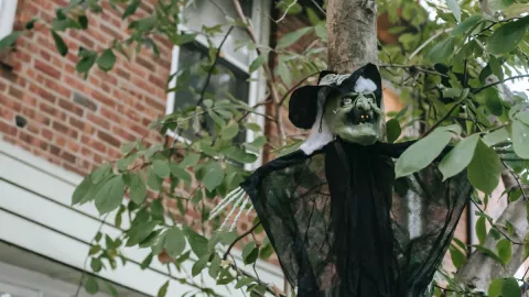 Hombre lanzó a su perro del puente porque “las brujas” se lo ordenaron