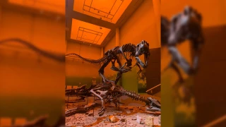 Museo del desierto en Chihuahua