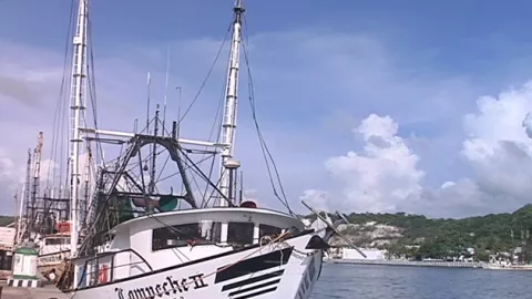 El Golfo de México es una gran cuenca oceánica ubicada al sur de América del Norte, limitando con las costas de México, Estados Unidos y Cuba