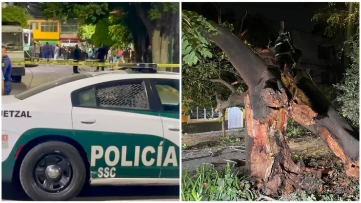 tres-hombres-baleados-iztapalapa-mientras-árbol-cayó-en-benito-juárez-cdmx