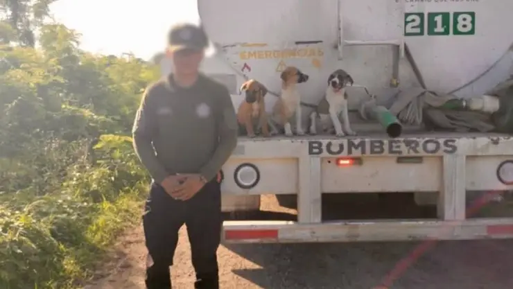 PORTADA cachorros Kanasín.jpg