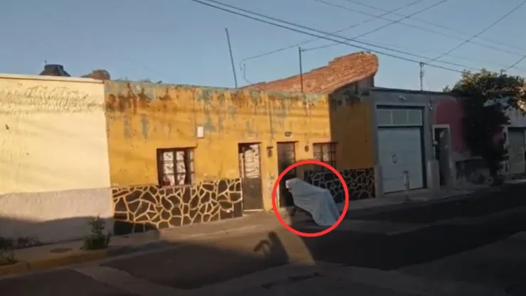 VIDEO | ¡Aterradora imagen! Así fue encontrado el cuerpo de un hombre dentro de un carrito de supermercado en la Col. Del Fresno