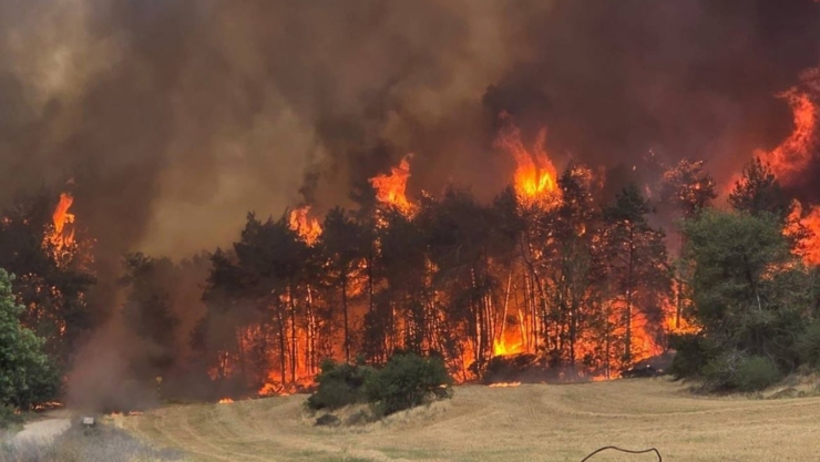 Jerusalén enfrenta uno de sus peores incendios en 10 años.