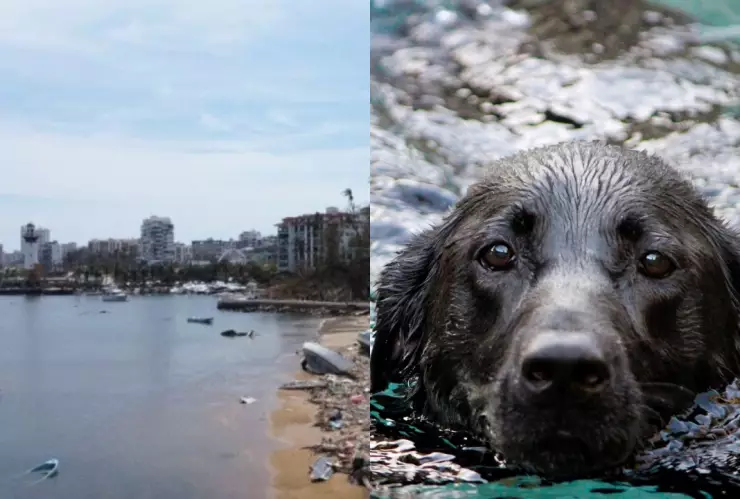 policías capitalinos
