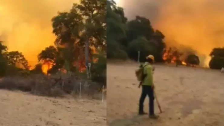 Incendio forestal Sonora Nacozari