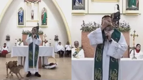 Perritos interrumpen misa apareándose