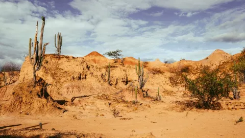 Día Internacional de la Diversidad Biológica 2025: especies que debes proteger en Baja California