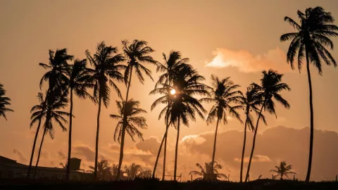 muertes golpes de calor méxico