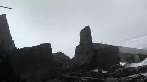 Aparecen animales sin cabeza en Playas de Tijuana ¿Qué es lo que se sabe (FOTO)?