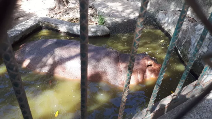Zoológico Vallarta 9