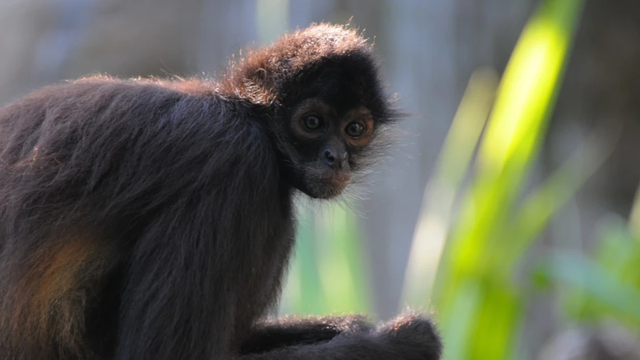 WhatsApp Image 2026-02-12 at 1.5.jpg