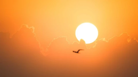 onda de calor junio 2023