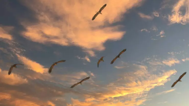 Clima Guerrero hoy 18 de noviembre de 2024 El pronóstico del tiempo para el estado.jpg