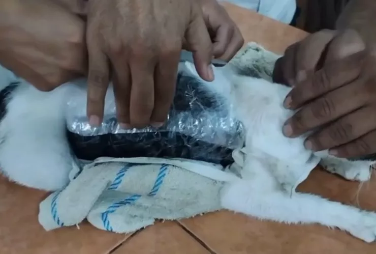 Narcomichi pasaba droga en una cárcel