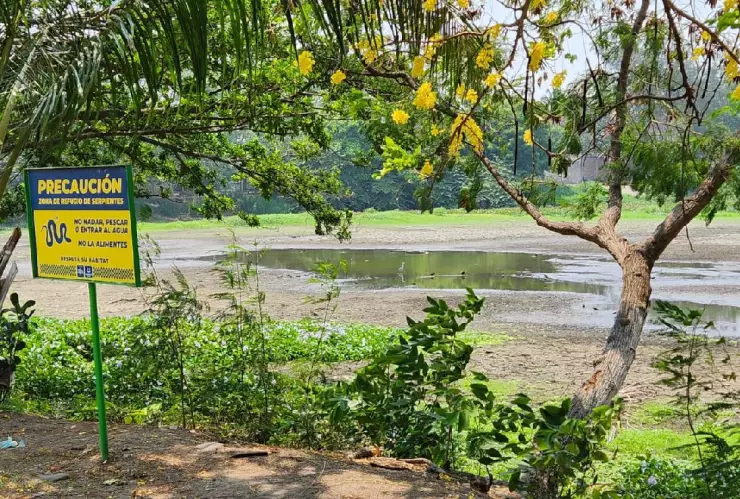 Vacian pipas de agua en Laguna de Lagartos.