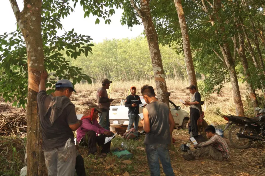 Erradicar el trabajo infantil.