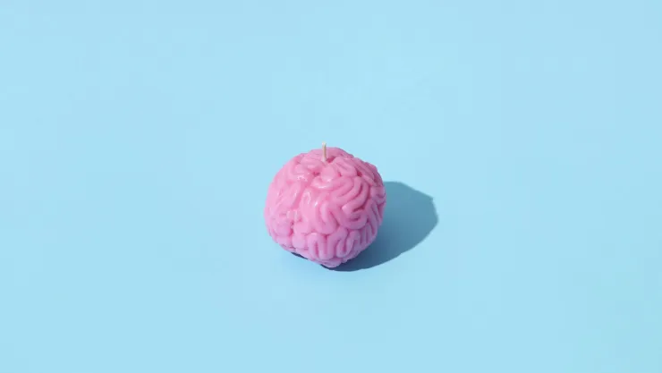 La ciencia revela que no solo el cerebro almacena recuerdos: Esto sabemos