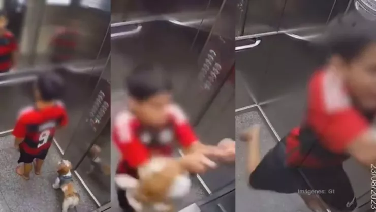 Niño salva a su perro