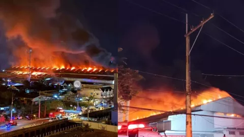 descarga - 2026-02-10T111254.350.webp