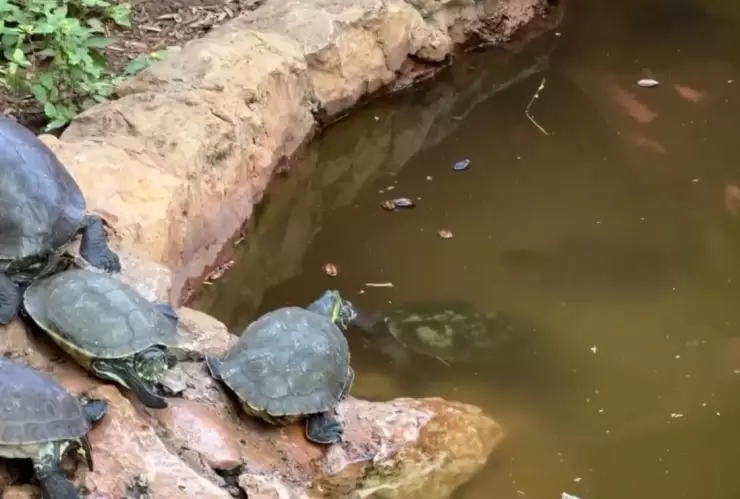 parque zoologico centenario pesimas condiciones
