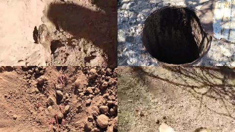 Fosas clandestinas en Sonora Madres buscadoras localizan cuerpos