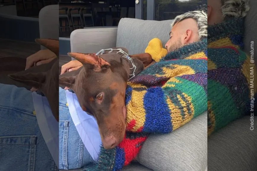 Maluma y Buda (7).jpg