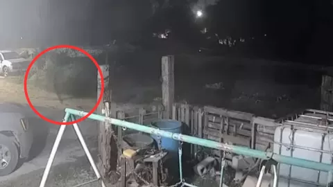 Nahual captado en Veracruz