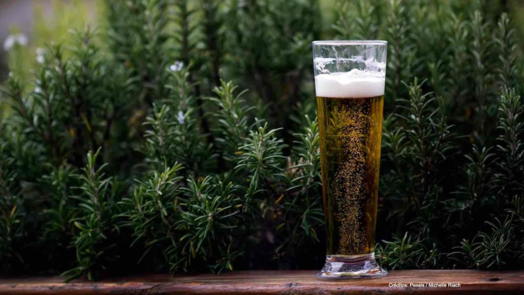diputada morena bebe cerveza.jpg