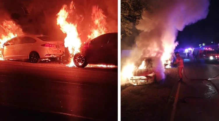 pelea gallos autos quemados colima