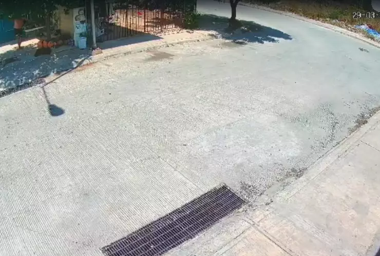 FOTOS: Filtran imágenes de la agresión con machete al perrito en Piedra de Agua