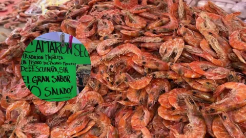 Camarón seco de Escuinapa, Sinaloa..jpg